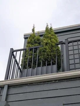 Balcony planter boxes with thuja occidentalis (arborvitae plant trees) Stock Photos