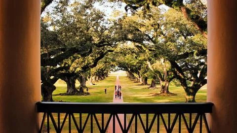 Balcony View &amp; Centuries Old Trees Stock Photos