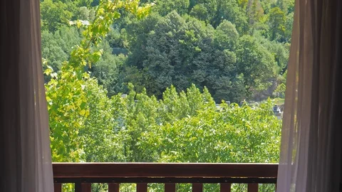 Balcony View Of Forest In Mountains Landscape During Sunny Day Видео 109449691