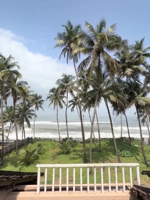 Balcony View of Ocean and Palm Trees on Sunny Day Vídeos de archivo 342265047