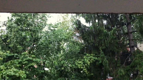Balcony view of rain falling amont trees Stock Footage 95755556