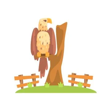 Bald American Eagle Sitting On Tree Branch In Open Air Zoo Enclosure Stock Illustration