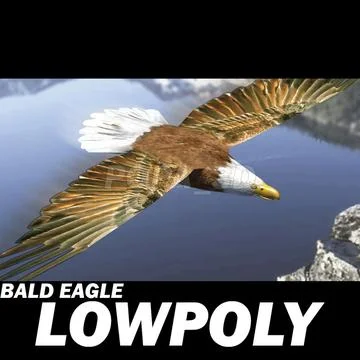 3D Bald Eagle Models ~ Download a Bald Eagle 3D Model