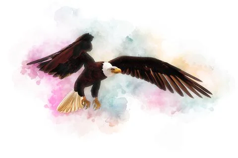 Bald eagle 3d illustration in the style of watercolor painting isolated on white Stock Illustration