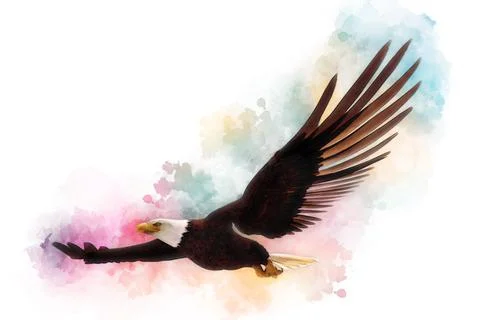 Bald eagle 3d illustration in the style of watercolor painting isolated on white Stock Illustration