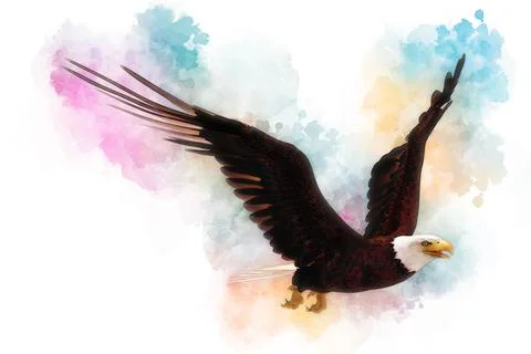 Bald eagle 3d illustration in the style of watercolor painting isolated on white Stock Illustration