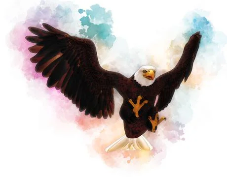 Bald eagle 3d illustration in the style of watercolor painting isolated on white Stock Illustration