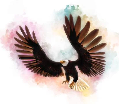 Bald eagle 3d illustration in the style of watercolor painting isolated on white Stock-Illustration