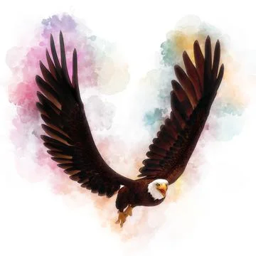 Bald eagle 3d illustration in the style of watercolor painting isolated on white Stock-Illustration