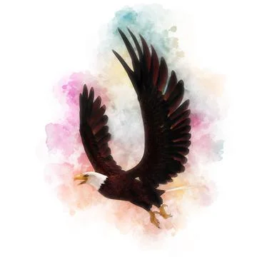 Bald eagle 3d illustration in the style of watercolor painting isolated on white Stock Illustration