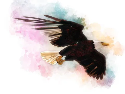 Bald eagle 3d illustration in the style of watercolor painting isolated on white Stock Illustration