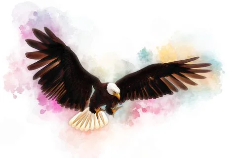 Bald eagle 3d illustration in the style of watercolor painting isolated on white Stock Illustration