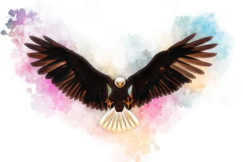 Bald eagle 3d illustration in the style of watercolor painting isolated on white Stock Illustration