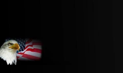 Bald eagle with American flag left composition with copy space patriotic ba.. Fotos de archivo