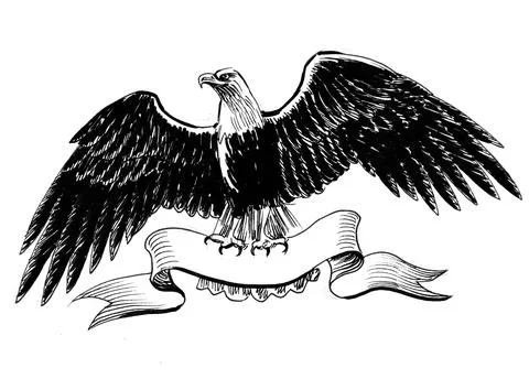 Bald eagle and banner Illustrazione stock