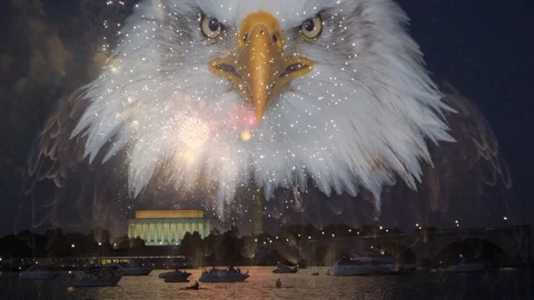 Bald Eagle and fireworks over Washington DC at night Stock Footage 97665838