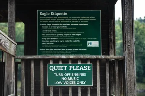 Bald Eagle Bird Watching Signs in the Poconos of Pennsylvania Fotos Stock