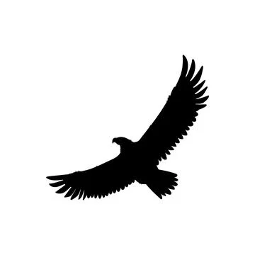 Bald Eagle black silhouette vector icon, American eagle wild bird of prey 스톡 일러스트