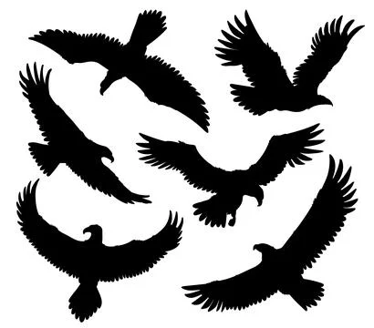 Bald Eagle black silhouette vector icons set, American eagle wild bird of prey 스톡 일러스트