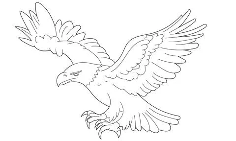 Bald Eagle Colouring Page element, isolated on white Stock Illustration