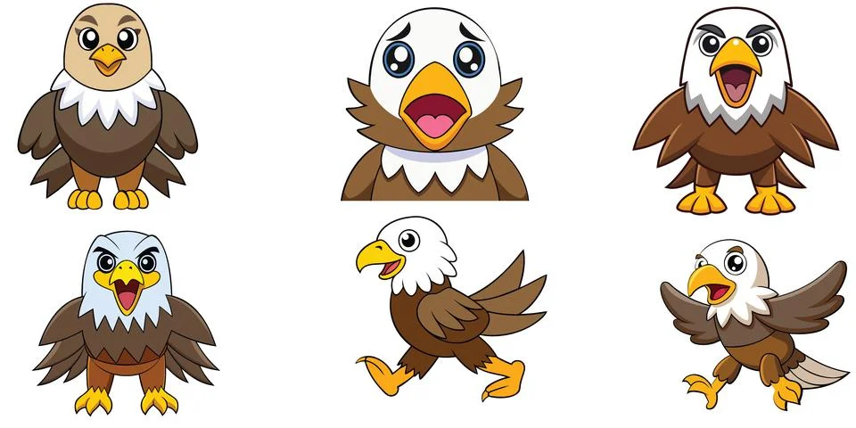 Bald Eagle design ,animal vector  design Stock Illustration
