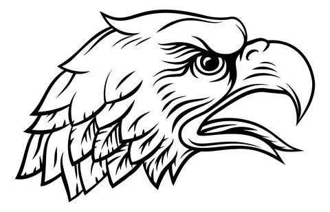 Bald Eagle Falcon Hawk Mascot Profile Bird Head Stock Illustration