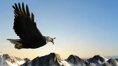 Bald Eagle Flies over Mountains Stock Footage 35252937