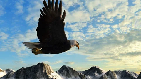 Bald Eagle Flies over Mountains in the sunset Stock Footage 35252993