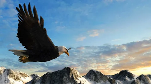 Bald Eagle Flies over Mountains in the sunset Stockbeeldmateriaal 35253206