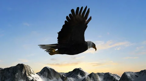 Bald Eagle Flies over Mountains in the sunset Видео 35253555