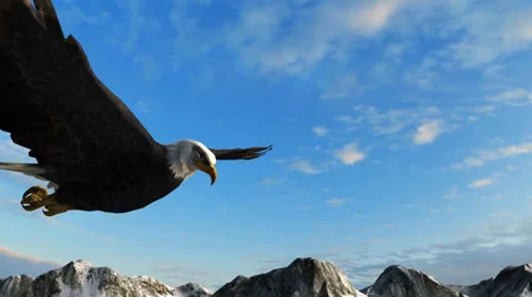 Bald Eagle Flies over Mountains Video stock 35255061