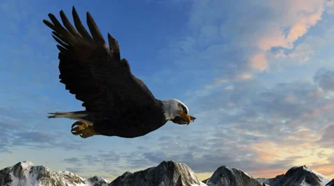 Bald Eagle Flies over Mountains Stockbeeldmateriaal 35255070