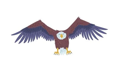 Bald Eagle flight front view vector icon, American eagle with white tail and 스톡 일러스트