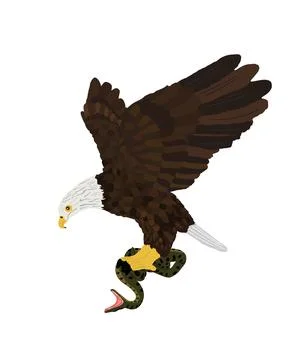 Bald eagle flying and attack snake vector illustration isolated Illustrazione stock