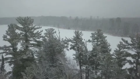 Bald eagle flying away Stock Footage 166522683