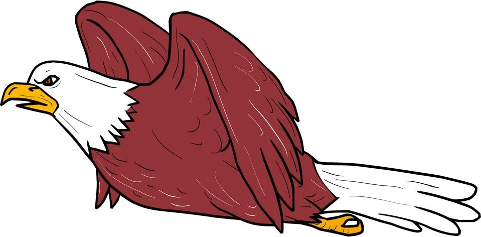 Bald Eagle Flying Cartoon Stock Illustration