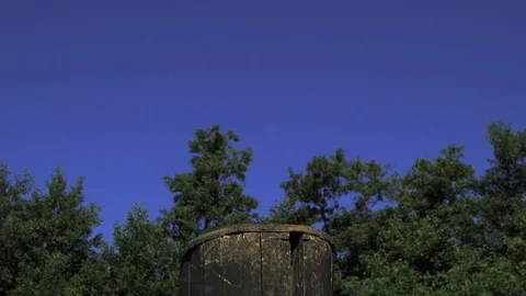 Bald Eagle flying. Falconry. Ultra slow motion hispeed  2000fps Stock Footage 92895630