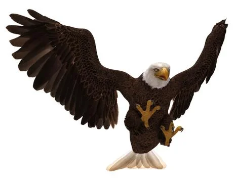 Bald eagle flying isolated on white 3d illustration Illustrazione stock