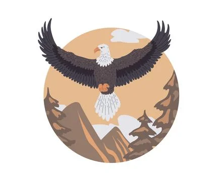 Bald Eagle flying on mountains landscape, vector wild American eagle prey bird Stock Illustration