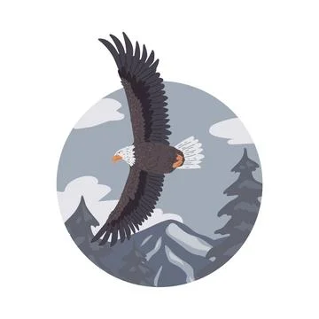 Bald Eagle flying on mountains landscape, vector American eagle wild bird of 스톡 일러스트