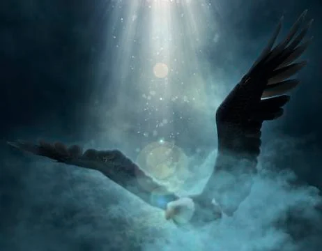 Bald eagle flying over the clouds 3d illustration Stock Illustration