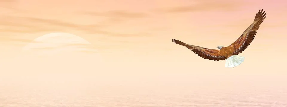 Bald eagle flying to the sun - 3D render Stock Illustration