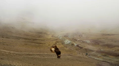 Bald eagle flying upon rocky mountains to the Rainbow Mountain, Peru Stock Footage 125281960