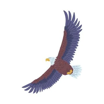 Bald Eagle flying vector icon, wild bird of prey soaring, American eagle with Stock Illustration