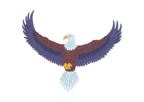 Bald Eagle flying vector icon, American eagle with white tail and head, wild 스톡 일러스트