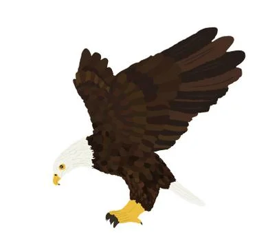 Bald eagle flying vector illustration isolated on white イラスト素材
