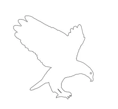 Bald eagle flying vector line contour silhouette illustration Иллюстрация