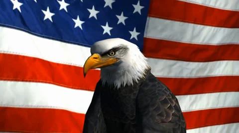 Bald eagle in front of us flag Video stock 33781800