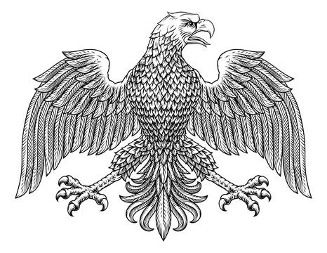 Bald Eagle Hawk Falcon Heraldic Coat Of Arms Art Stock Illustration