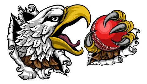 Bald Eagle Hawk Ripping Cricket Ball Mascot Stock Illustration